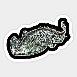 Amphibian Sticker